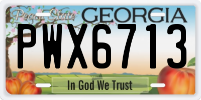 GA license plate PWX6713