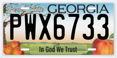 GA license plate PWX6733