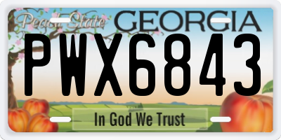 GA license plate PWX6843