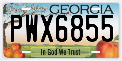GA license plate PWX6855