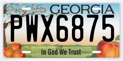 GA license plate PWX6875