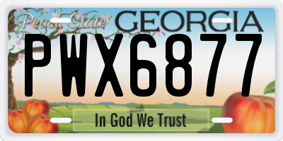 GA license plate PWX6877