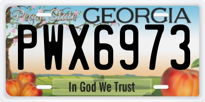GA license plate PWX6973
