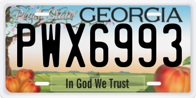 GA license plate PWX6993