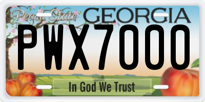 GA license plate PWX7000