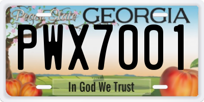 GA license plate PWX7001