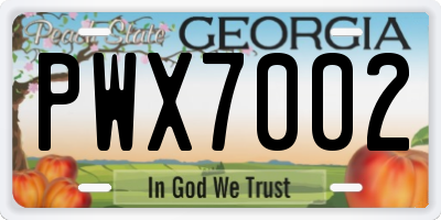GA license plate PWX7002