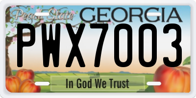 GA license plate PWX7003
