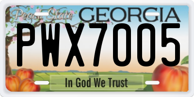 GA license plate PWX7005