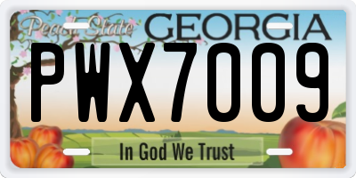 GA license plate PWX7009