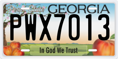 GA license plate PWX7013