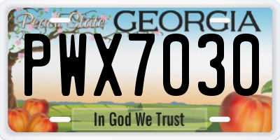 GA license plate PWX7030