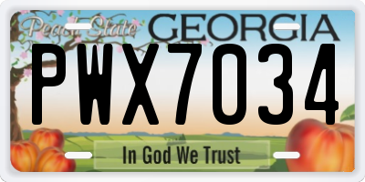 GA license plate PWX7034