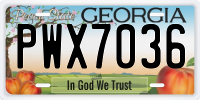 GA license plate PWX7036