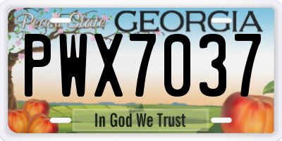GA license plate PWX7037