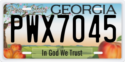 GA license plate PWX7045