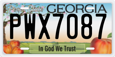 GA license plate PWX7087