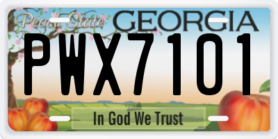 GA license plate PWX7101
