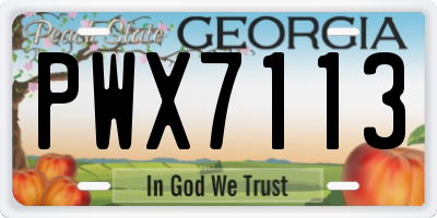 GA license plate PWX7113