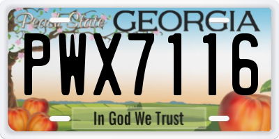 GA license plate PWX7116