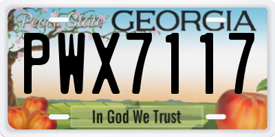 GA license plate PWX7117