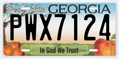 GA license plate PWX7124
