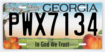 GA license plate PWX7134