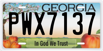 GA license plate PWX7137