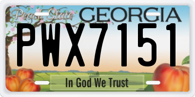 GA license plate PWX7151