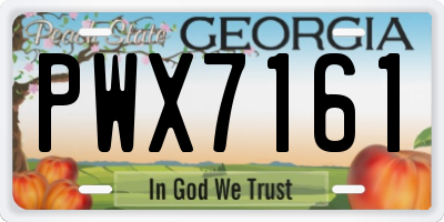 GA license plate PWX7161