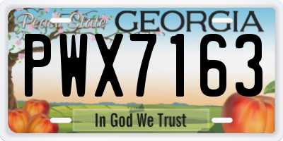 GA license plate PWX7163