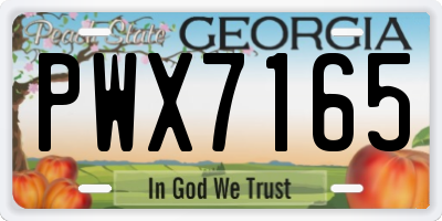 GA license plate PWX7165