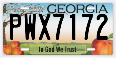 GA license plate PWX7172