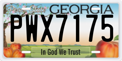 GA license plate PWX7175