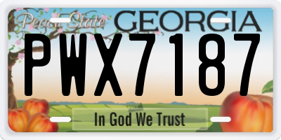 GA license plate PWX7187