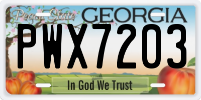GA license plate PWX7203