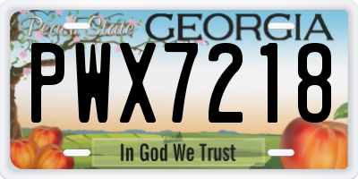 GA license plate PWX7218