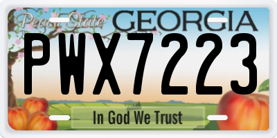 GA license plate PWX7223