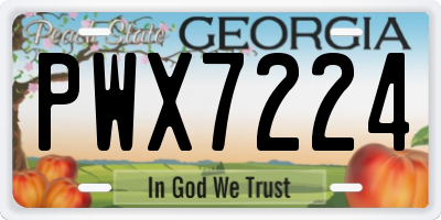 GA license plate PWX7224