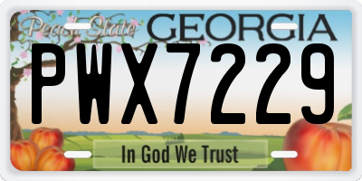 GA license plate PWX7229