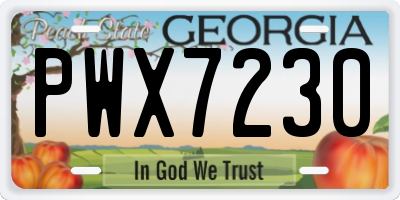 GA license plate PWX7230