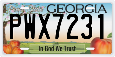 GA license plate PWX7231