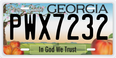 GA license plate PWX7232