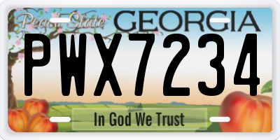 GA license plate PWX7234