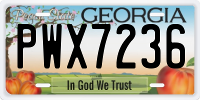 GA license plate PWX7236