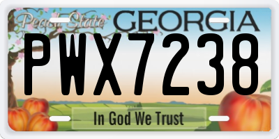 GA license plate PWX7238