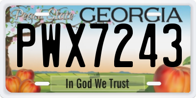 GA license plate PWX7243