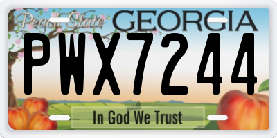GA license plate PWX7244