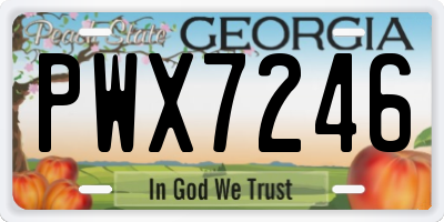 GA license plate PWX7246