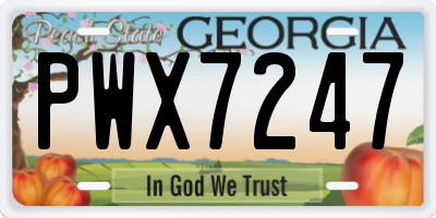 GA license plate PWX7247